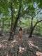 Tutta nuda al parco