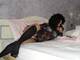 Private Photo of deagiunone5